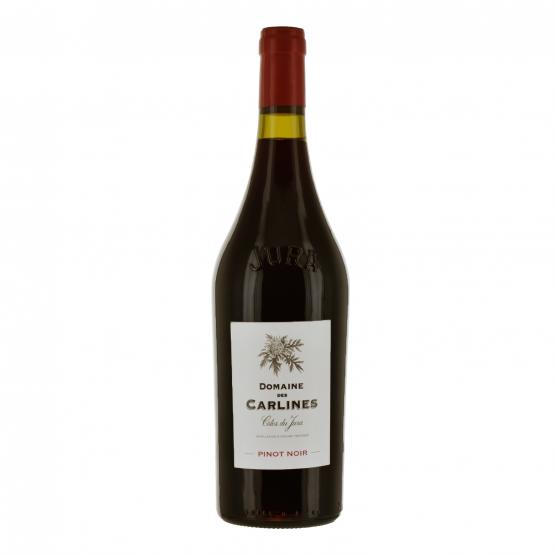 Pinot Noir 2023 Rouge Plaisirs du vin - La Teste de Buch Plaisirs du vin - La Teste de Buch FR 11 Av. de Binghamton Plaisirs du vin - La Teste de Buch Plaisirs du vin - La Teste de Buch Plaisirs du vin - La Teste de Buch 11 Av. de Binghamton Plaisirs du vin - La Teste de Buch Plaisirs du vin - La Teste de Buch Plaisirs du vin - La Teste de Buch Plaisirs du vin - La Teste de Buch Plaisirs du vin - La Teste de Buch 11 Av. de Binghamton Plaisirs du vin - La Teste de Buch 11 Av. de Binghamton 11 Av. de Binghamton