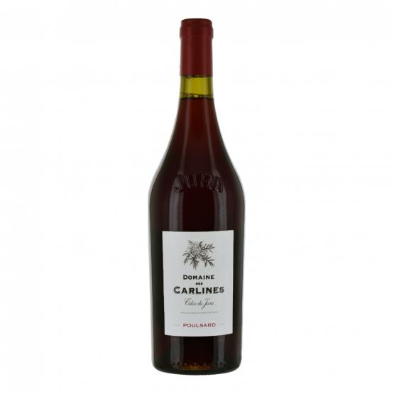Poulsard 2023 Rouge Plaisirs du vin - La Teste de Buch Plaisirs du vin - La Teste de Buch FR 11 Av. de Binghamton Plaisirs du vin - La Teste de Buch Plaisirs du vin - La Teste de Buch Plaisirs du vin - La Teste de Buch 11 Av. de Binghamton Plaisirs du vin - La Teste de Buch Plaisirs du vin - La Teste de Buch Plaisirs du vin - La Teste de Buch Plaisirs du vin - La Teste de Buch Plaisirs du vin - La Teste de Buch 11 Av. de Binghamton Plaisirs du vin - La Teste de Buch 11 Av. de Binghamton 11 Av. de Binghamton