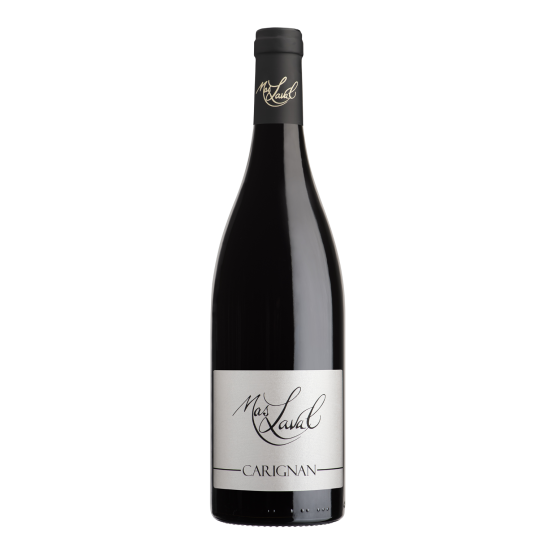 Carignan 2025 Rouge Plaisirs du vin - La Teste de Buch Plaisirs du vin - La Teste de Buch FR 11 Av. de Binghamton Plaisirs du vin - La Teste de Buch Plaisirs du vin - La Teste de Buch Plaisirs du vin - La Teste de Buch 11 Av. de Binghamton Plaisirs du vin - La Teste de Buch Plaisirs du vin - La Teste de Buch Plaisirs du vin - La Teste de Buch Plaisirs du vin - La Teste de Buch Plaisirs du vin - La Teste de Buch 11 Av. de Binghamton Plaisirs du vin - La Teste de Buch 11 Av. de Binghamton 11 Av. de Binghamton