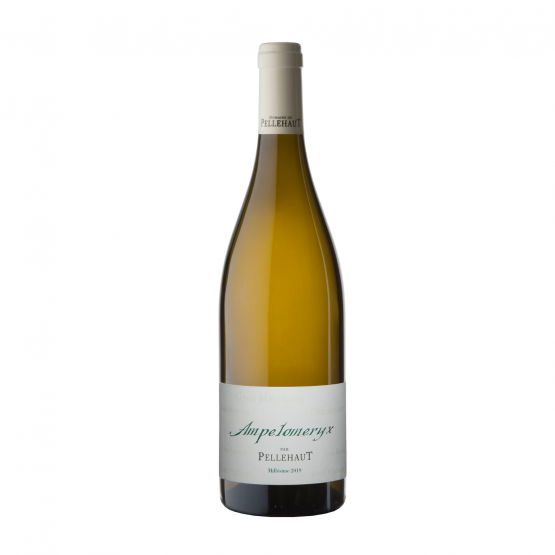 Ampélomeryx Blanc 2022 Plaisirs du vin - La Teste de Buch Plaisirs du vin - La Teste de Buch FR 11 Av. de Binghamton Plaisirs du vin - La Teste de Buch Plaisirs du vin - La Teste de Buch Plaisirs du vin - La Teste de Buch 11 Av. de Binghamton Plaisirs du vin - La Teste de Buch Plaisirs du vin - La Teste de Buch Plaisirs du vin - La Teste de Buch Plaisirs du vin - La Teste de Buch Plaisirs du vin - La Teste de Buch 11 Av. de Binghamton Plaisirs du vin - La Teste de Buch 11 Av. de Binghamton 11 Av. de Binghamton