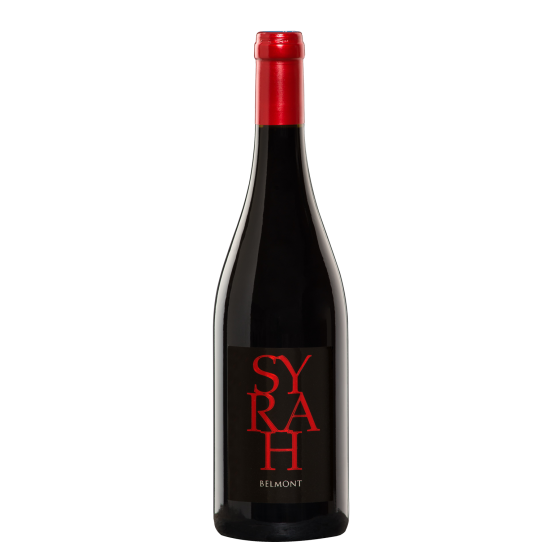 Syrah 2021 Rouge Plaisirs du vin - La Teste de Buch Plaisirs du vin - La Teste de Buch FR 11 Av. de Binghamton Plaisirs du vin - La Teste de Buch Plaisirs du vin - La Teste de Buch Plaisirs du vin - La Teste de Buch 11 Av. de Binghamton Plaisirs du vin - La Teste de Buch Plaisirs du vin - La Teste de Buch Plaisirs du vin - La Teste de Buch Plaisirs du vin - La Teste de Buch Plaisirs du vin - La Teste de Buch 11 Av. de Binghamton Plaisirs du vin - La Teste de Buch 11 Av. de Binghamton 11 Av. de Binghamton