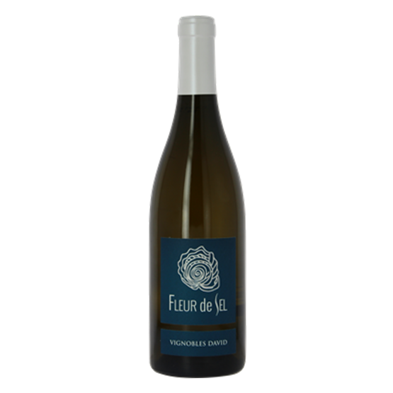 Fleur de Sel Blanc 2023 Magnum Plaisirs du vin - La Teste de Buch Plaisirs du vin - La Teste de Buch FR 11 Av. de Binghamton Plaisirs du vin - La Teste de Buch Plaisirs du vin - La Teste de Buch Plaisirs du vin - La Teste de Buch 11 Av. de Binghamton Plaisirs du vin - La Teste de Buch Plaisirs du vin - La Teste de Buch Plaisirs du vin - La Teste de Buch Plaisirs du vin - La Teste de Buch Plaisirs du vin - La Teste de Buch 11 Av. de Binghamton Plaisirs du vin - La Teste de Buch 11 Av. de Binghamton 11 Av. de Binghamton