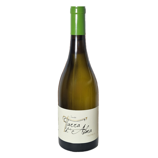Tarra d'Alma Blanc 2025 Plaisirs du vin - La Teste de Buch Plaisirs du vin - La Teste de Buch FR 11 Av. de Binghamton Plaisirs du vin - La Teste de Buch Plaisirs du vin - La Teste de Buch Plaisirs du vin - La Teste de Buch 11 Av. de Binghamton Plaisirs du vin - La Teste de Buch Plaisirs du vin - La Teste de Buch Plaisirs du vin - La Teste de Buch Plaisirs du vin - La Teste de Buch Plaisirs du vin - La Teste de Buch 11 Av. de Binghamton Plaisirs du vin - La Teste de Buch 11 Av. de Binghamton 11 Av. de Binghamton