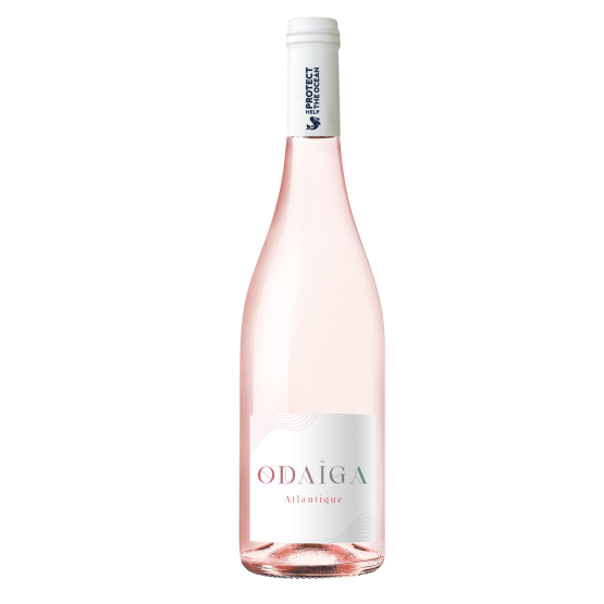 Odaïga Rosé 2025 Plaisirs du vin - La Teste de Buch Plaisirs du vin - La Teste de Buch FR 11 Av. de Binghamton Plaisirs du vin - La Teste de Buch Plaisirs du vin - La Teste de Buch Plaisirs du vin - La Teste de Buch 11 Av. de Binghamton Plaisirs du vin - La Teste de Buch Plaisirs du vin - La Teste de Buch Plaisirs du vin - La Teste de Buch Plaisirs du vin - La Teste de Buch Plaisirs du vin - La Teste de Buch 11 Av. de Binghamton Plaisirs du vin - La Teste de Buch 11 Av. de Binghamton 11 Av. de Binghamton