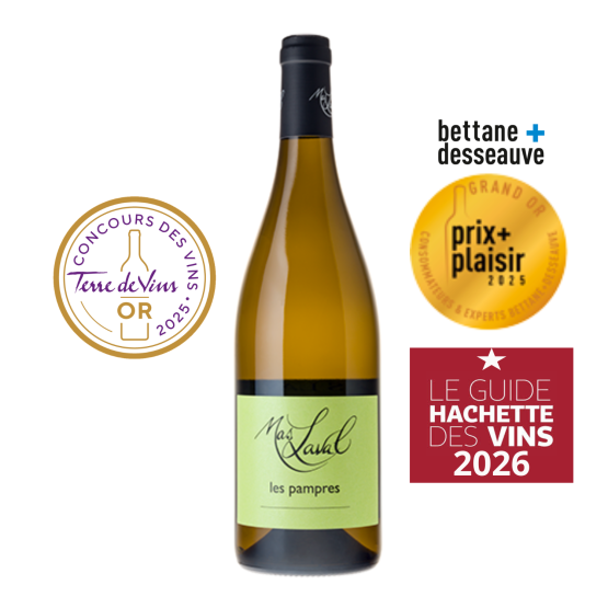 Les Pampres 2024 Blanc Plaisirs du vin - La Teste de Buch Plaisirs du vin - La Teste de Buch FR 11 Av. de Binghamton Plaisirs du vin - La Teste de Buch Plaisirs du vin - La Teste de Buch Plaisirs du vin - La Teste de Buch 11 Av. de Binghamton Plaisirs du vin - La Teste de Buch Plaisirs du vin - La Teste de Buch Plaisirs du vin - La Teste de Buch Plaisirs du vin - La Teste de Buch Plaisirs du vin - La Teste de Buch 11 Av. de Binghamton Plaisirs du vin - La Teste de Buch 11 Av. de Binghamton 11 Av. de Binghamton