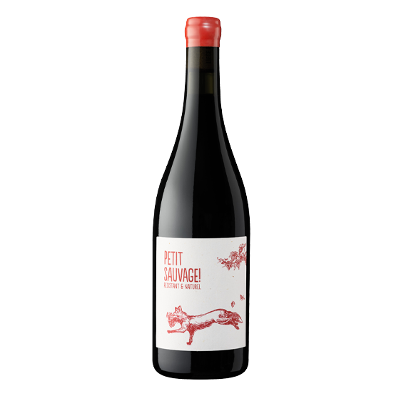 Petit Sauvage 2024 Rouge Plaisirs du vin - La Teste de Buch Plaisirs du vin - La Teste de Buch FR 11 Av. de Binghamton Plaisirs du vin - La Teste de Buch Plaisirs du vin - La Teste de Buch Plaisirs du vin - La Teste de Buch 11 Av. de Binghamton Plaisirs du vin - La Teste de Buch Plaisirs du vin - La Teste de Buch Plaisirs du vin - La Teste de Buch Plaisirs du vin - La Teste de Buch Plaisirs du vin - La Teste de Buch 11 Av. de Binghamton Plaisirs du vin - La Teste de Buch 11 Av. de Binghamton 11 Av. de Binghamton
