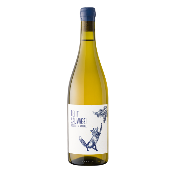 Petit Sauvage 2024 Blanc Plaisirs du vin - La Teste de Buch Plaisirs du vin - La Teste de Buch FR 11 Av. de Binghamton Plaisirs du vin - La Teste de Buch Plaisirs du vin - La Teste de Buch Plaisirs du vin - La Teste de Buch 11 Av. de Binghamton Plaisirs du vin - La Teste de Buch Plaisirs du vin - La Teste de Buch Plaisirs du vin - La Teste de Buch Plaisirs du vin - La Teste de Buch Plaisirs du vin - La Teste de Buch 11 Av. de Binghamton Plaisirs du vin - La Teste de Buch 11 Av. de Binghamton 11 Av. de Binghamton