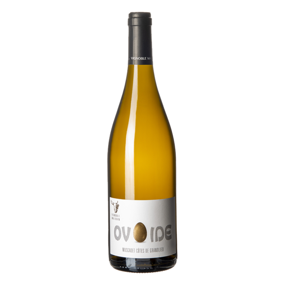Muscadet Grandlieu Demi Boeuf cuvée Ovoide 2024 Blanc Plaisirs du vin - La Teste de Buch Plaisirs du vin - La Teste de Buch FR 11 Av. de Binghamton Plaisirs du vin - La Teste de Buch Plaisirs du vin - La Teste de Buch Plaisirs du vin - La Teste de Buch 11 Av. de Binghamton Plaisirs du vin - La Teste de Buch Plaisirs du vin - La Teste de Buch Plaisirs du vin - La Teste de Buch Plaisirs du vin - La Teste de Buch Plaisirs du vin - La Teste de Buch 11 Av. de Binghamton Plaisirs du vin - La Teste de Buch 11 Av. de Binghamton 11 Av. de Binghamton