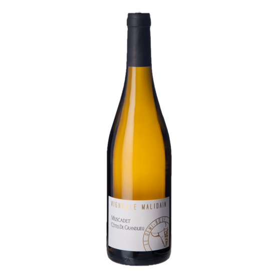 Le Demi-Boeuf Muscadet 2025 Blanc Plaisirs du vin - La Teste de Buch Plaisirs du vin - La Teste de Buch FR 11 Av. de Binghamton Plaisirs du vin - La Teste de Buch Plaisirs du vin - La Teste de Buch Plaisirs du vin - La Teste de Buch 11 Av. de Binghamton Plaisirs du vin - La Teste de Buch Plaisirs du vin - La Teste de Buch Plaisirs du vin - La Teste de Buch Plaisirs du vin - La Teste de Buch Plaisirs du vin - La Teste de Buch 11 Av. de Binghamton Plaisirs du vin - La Teste de Buch 11 Av. de Binghamton 11 Av. de Binghamton