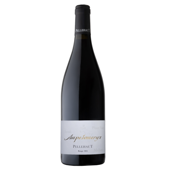 Ampélomeryx Rouge 2024 Plaisirs du vin - La Teste de Buch Plaisirs du vin - La Teste de Buch FR 11 Av. de Binghamton Plaisirs du vin - La Teste de Buch Plaisirs du vin - La Teste de Buch Plaisirs du vin - La Teste de Buch 11 Av. de Binghamton Plaisirs du vin - La Teste de Buch Plaisirs du vin - La Teste de Buch Plaisirs du vin - La Teste de Buch Plaisirs du vin - La Teste de Buch Plaisirs du vin - La Teste de Buch 11 Av. de Binghamton Plaisirs du vin - La Teste de Buch 11 Av. de Binghamton 11 Av. de Binghamton