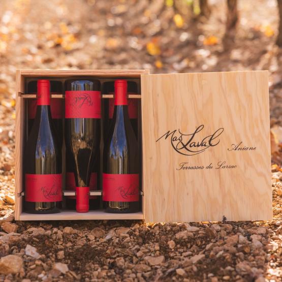 Cuvée Léna 2023 Coffret bois 6 bouteilles Plaisirs du vin - La Teste de Buch Plaisirs du vin - La Teste de Buch FR 11 Av. de Binghamton Plaisirs du vin - La Teste de Buch Plaisirs du vin - La Teste de Buch Plaisirs du vin - La Teste de Buch 11 Av. de Binghamton Plaisirs du vin - La Teste de Buch Plaisirs du vin - La Teste de Buch Plaisirs du vin - La Teste de Buch Plaisirs du vin - La Teste de Buch Plaisirs du vin - La Teste de Buch 11 Av. de Binghamton Plaisirs du vin - La Teste de Buch 11 Av. de Binghamton 11 Av. de Binghamton