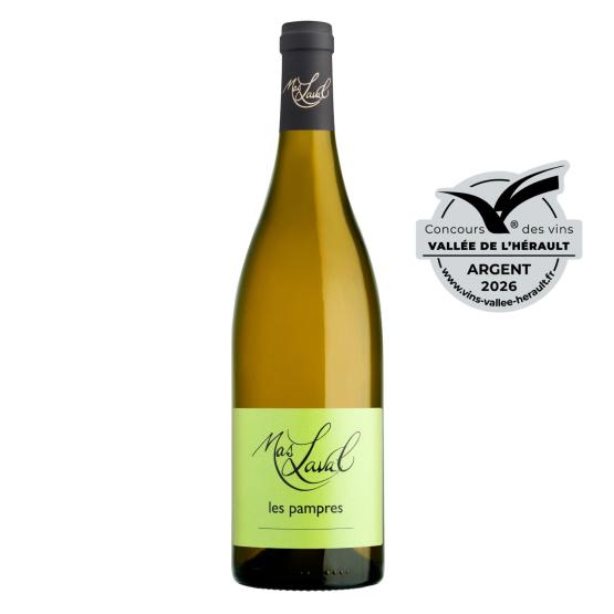Les Pampres 2025 Blanc Plaisirs du vin - La Teste de Buch Plaisirs du vin - La Teste de Buch FR 11 Av. de Binghamton Plaisirs du vin - La Teste de Buch Plaisirs du vin - La Teste de Buch Plaisirs du vin - La Teste de Buch 11 Av. de Binghamton Plaisirs du vin - La Teste de Buch Plaisirs du vin - La Teste de Buch Plaisirs du vin - La Teste de Buch Plaisirs du vin - La Teste de Buch Plaisirs du vin - La Teste de Buch 11 Av. de Binghamton Plaisirs du vin - La Teste de Buch 11 Av. de Binghamton 11 Av. de Binghamton